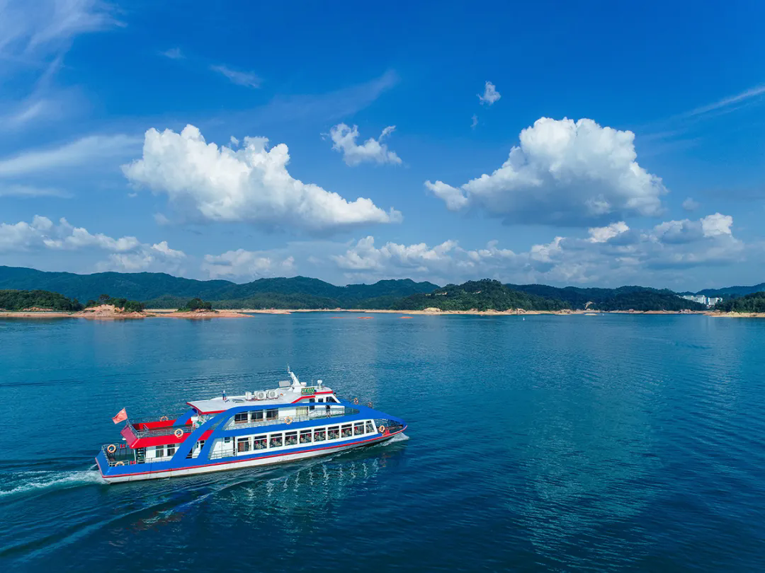 万绿湖.webp (1).png