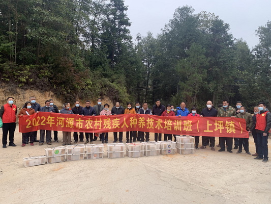图为发放鸡苗现场(1).jpg