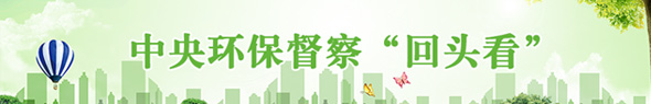 中央环保督察