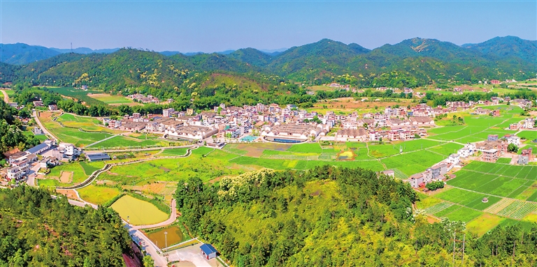 建设生态美丽宜居乡村.jpg