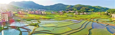 ■美丽的龙川县麻布岗镇小长沙村.jpg