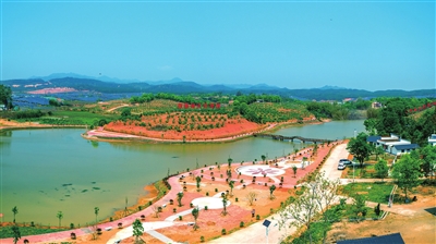 深化农村综合改革 探索产业发展新路.jpg