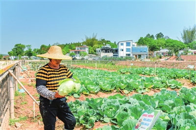 深化农村综合改革 探索产业发展新路2.jpg