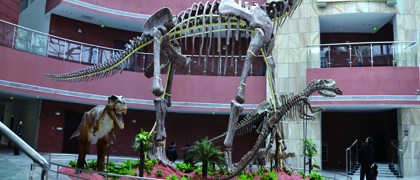 河源市恐龙博物馆