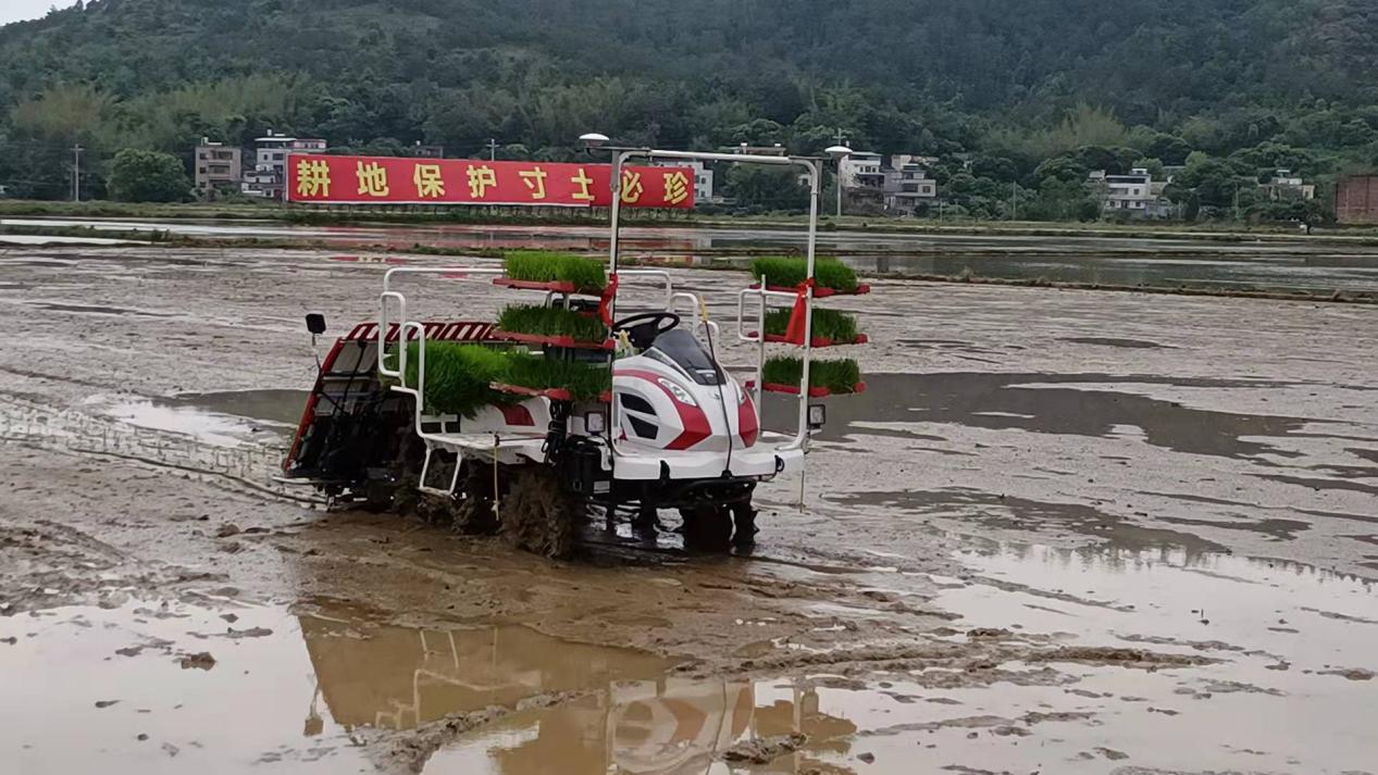 图片111.jpg