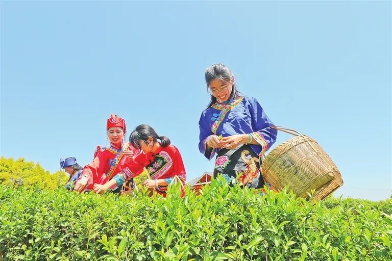 和平县东水镇增坑村：大力扶持特色茶叶、乡村旅游发展，实现乡村振兴新突破1.jpg