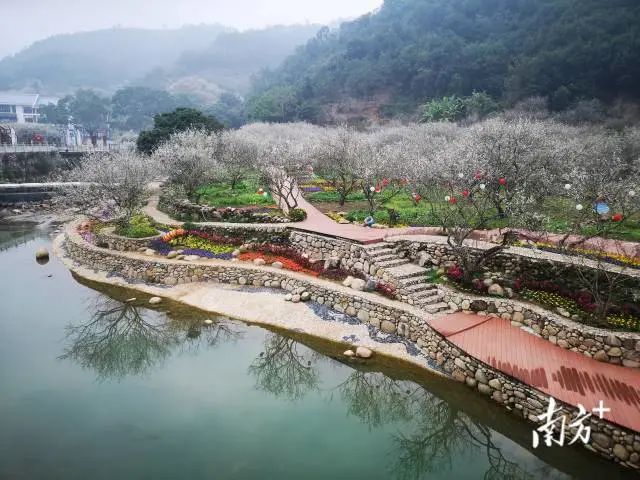 深入开展“千村示范、万村整治”工程，广东推动乡村建设点上出彩面上美丽3.jpg