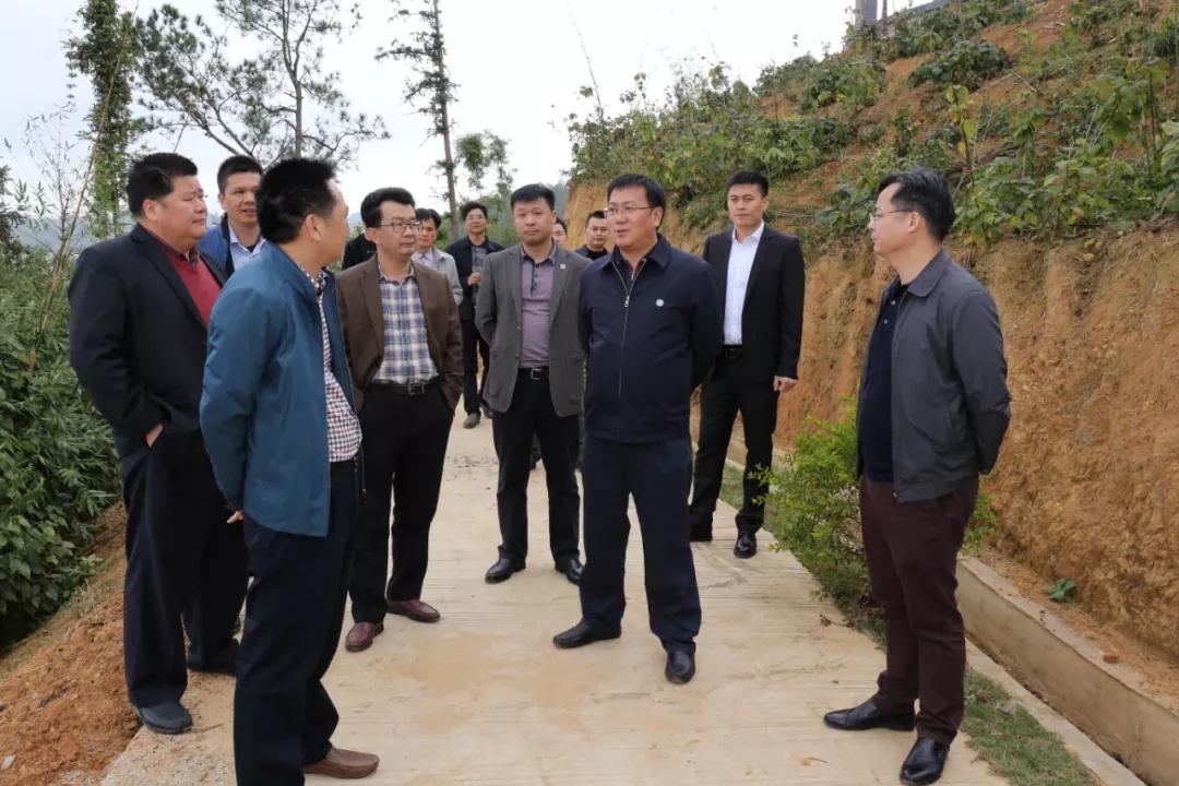 【图】江东新区党委书记孔德胜到临江镇调研 - 河源零距离